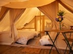 Beds Beds
